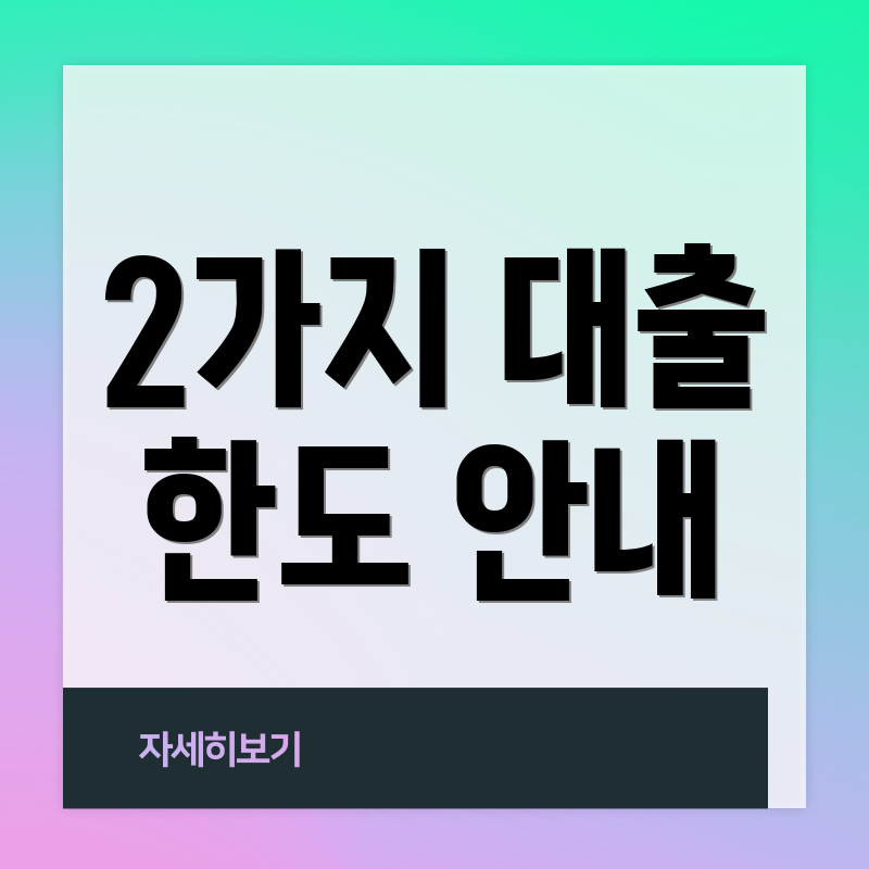 2가지 대출 한도 안내