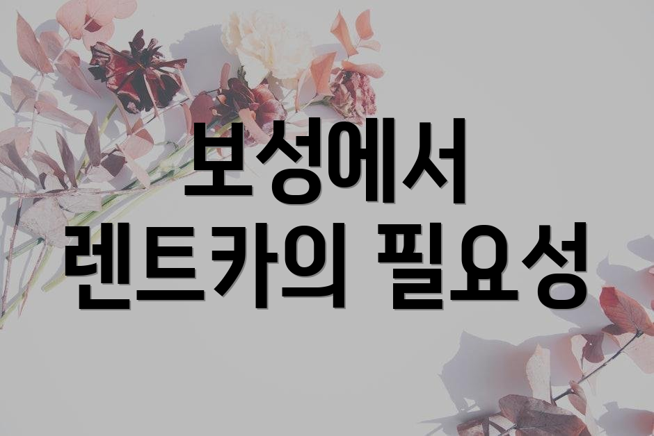 보성에서 렌트카의 필요성