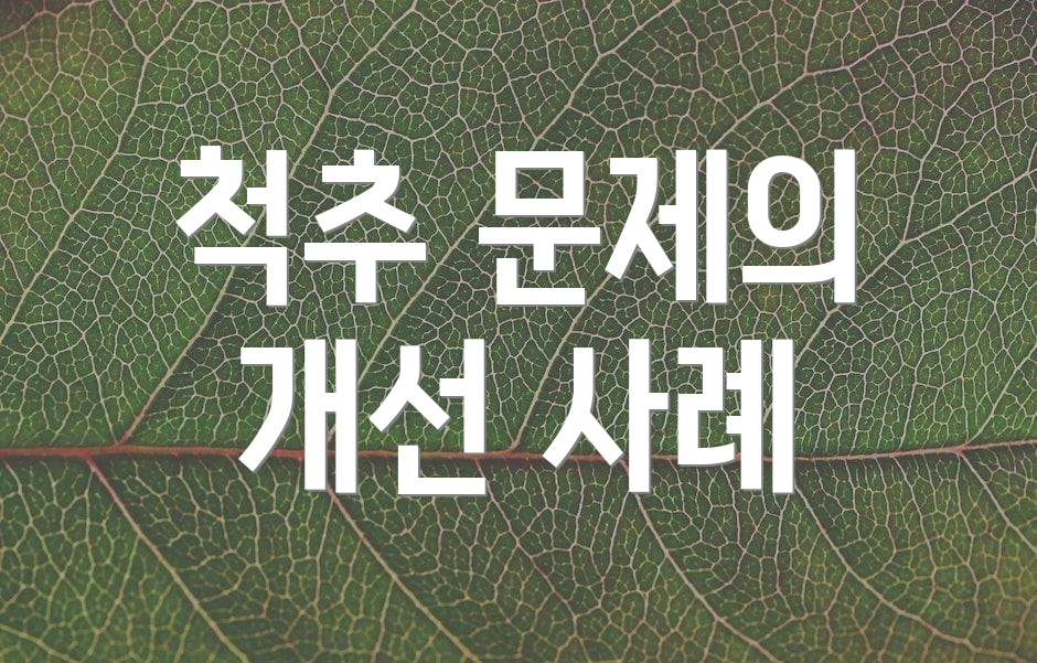 척추 문제의 개선 사례
