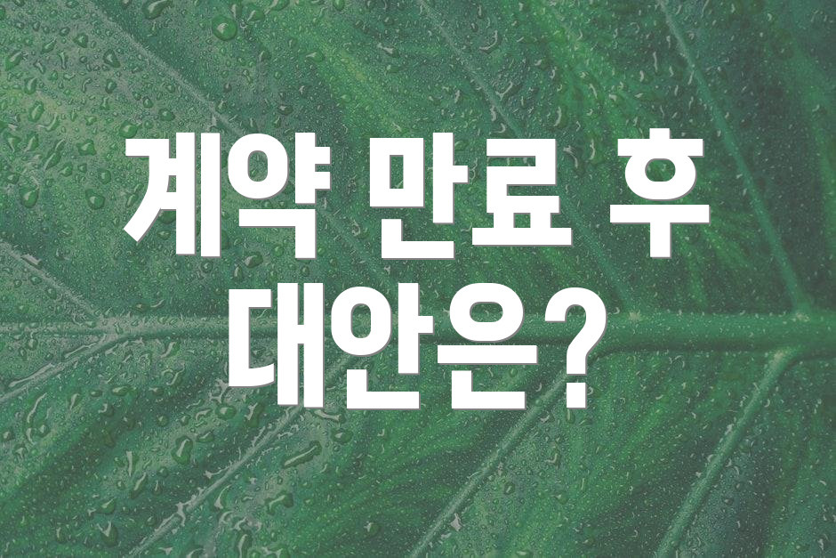 계약 만료 후 대안은?
