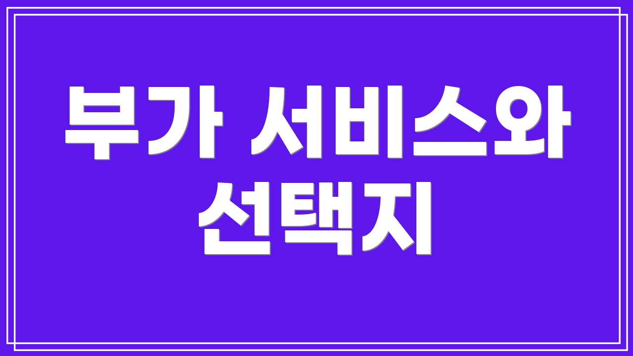 부가 서비스와 선택지