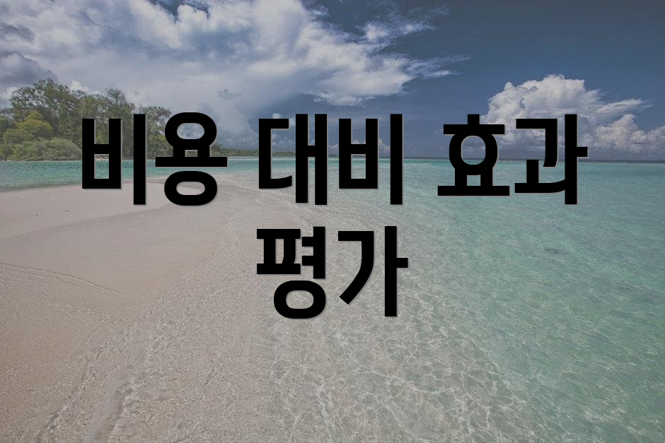 비용 대비 효과 평가