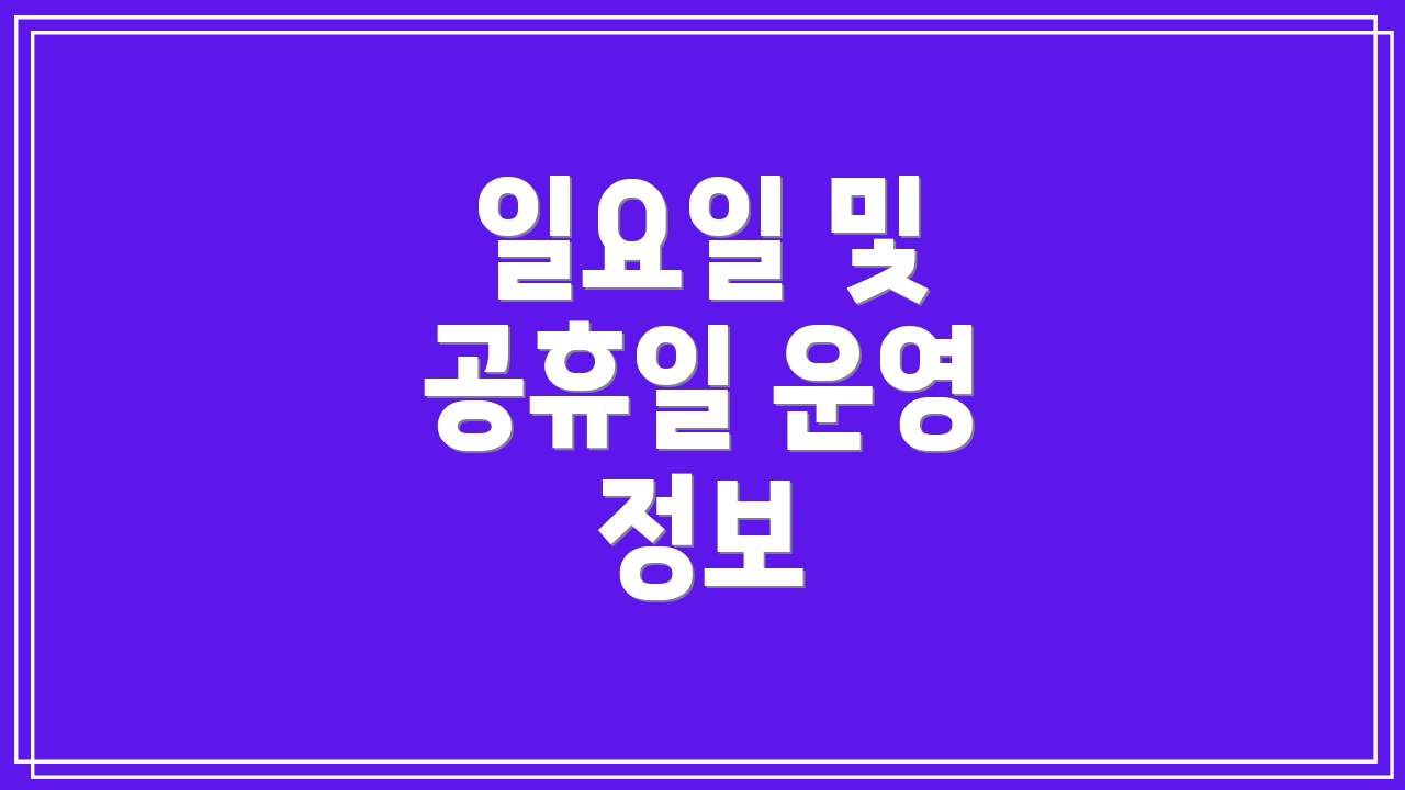 일요일 및 공휴일 운영 정보