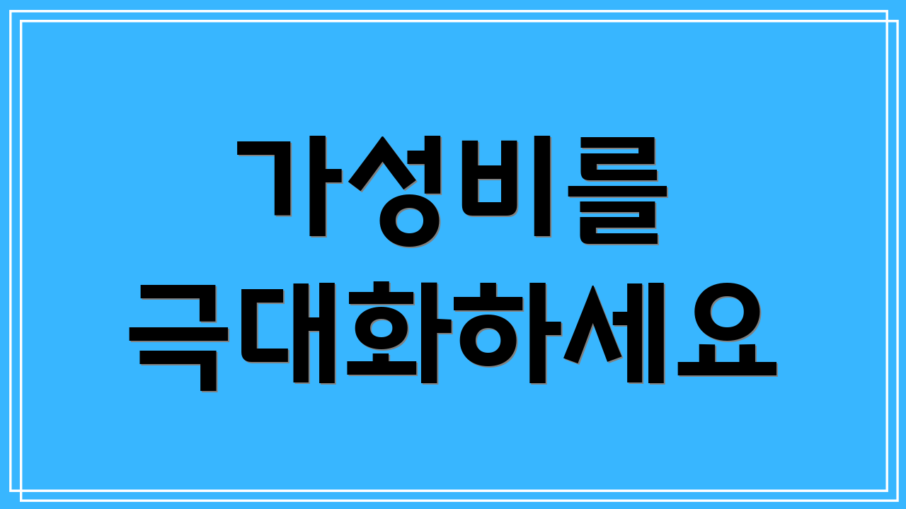 가성비를 극대화하세요