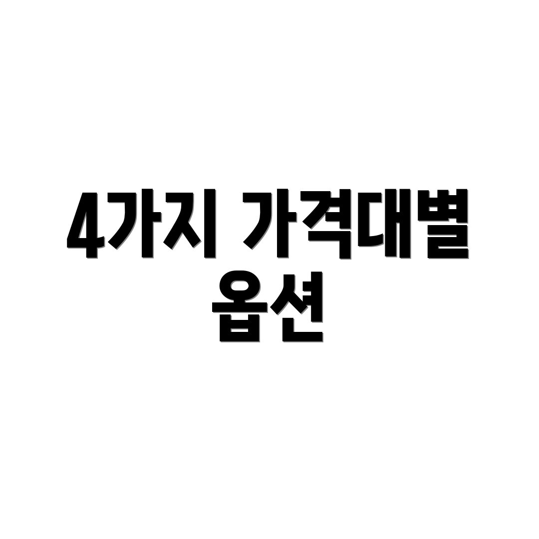 4가지 가격대별 옵션