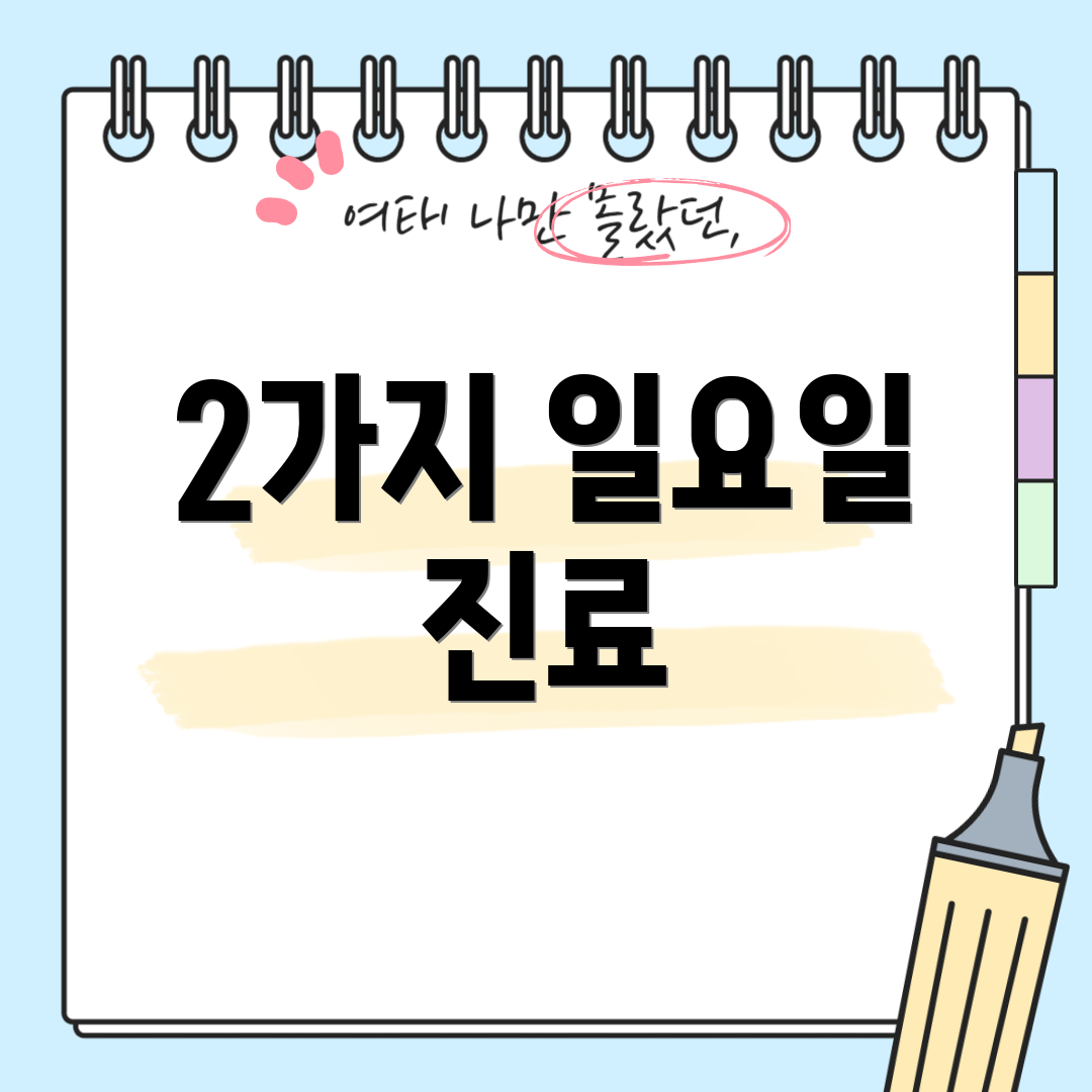 2가지 일요일 진료