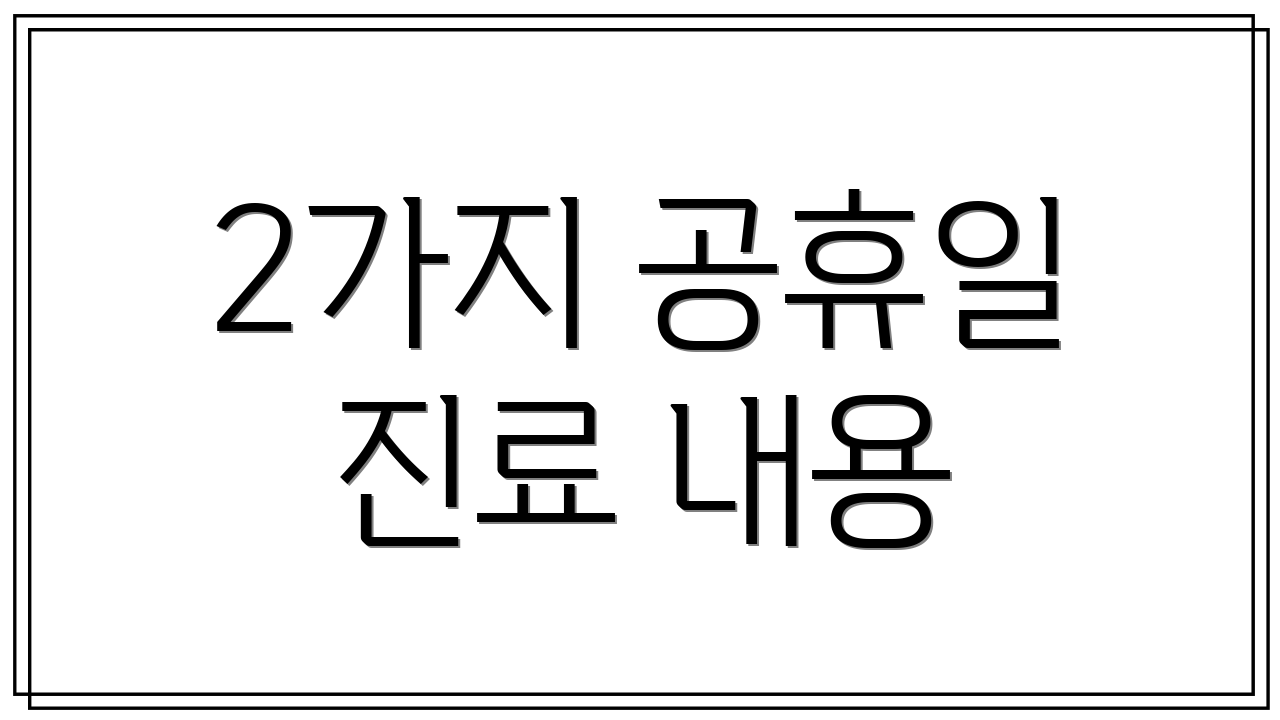 2가지 공휴일 진료 내용