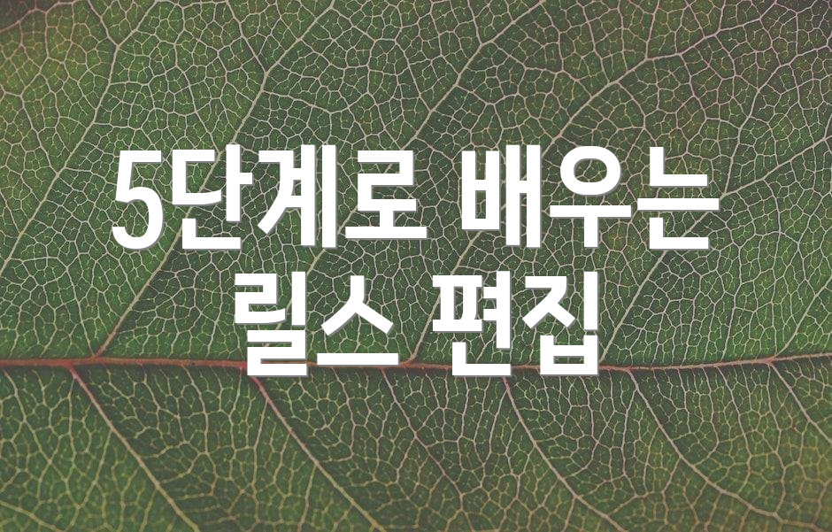 5단계로 배우는 릴스 편집
