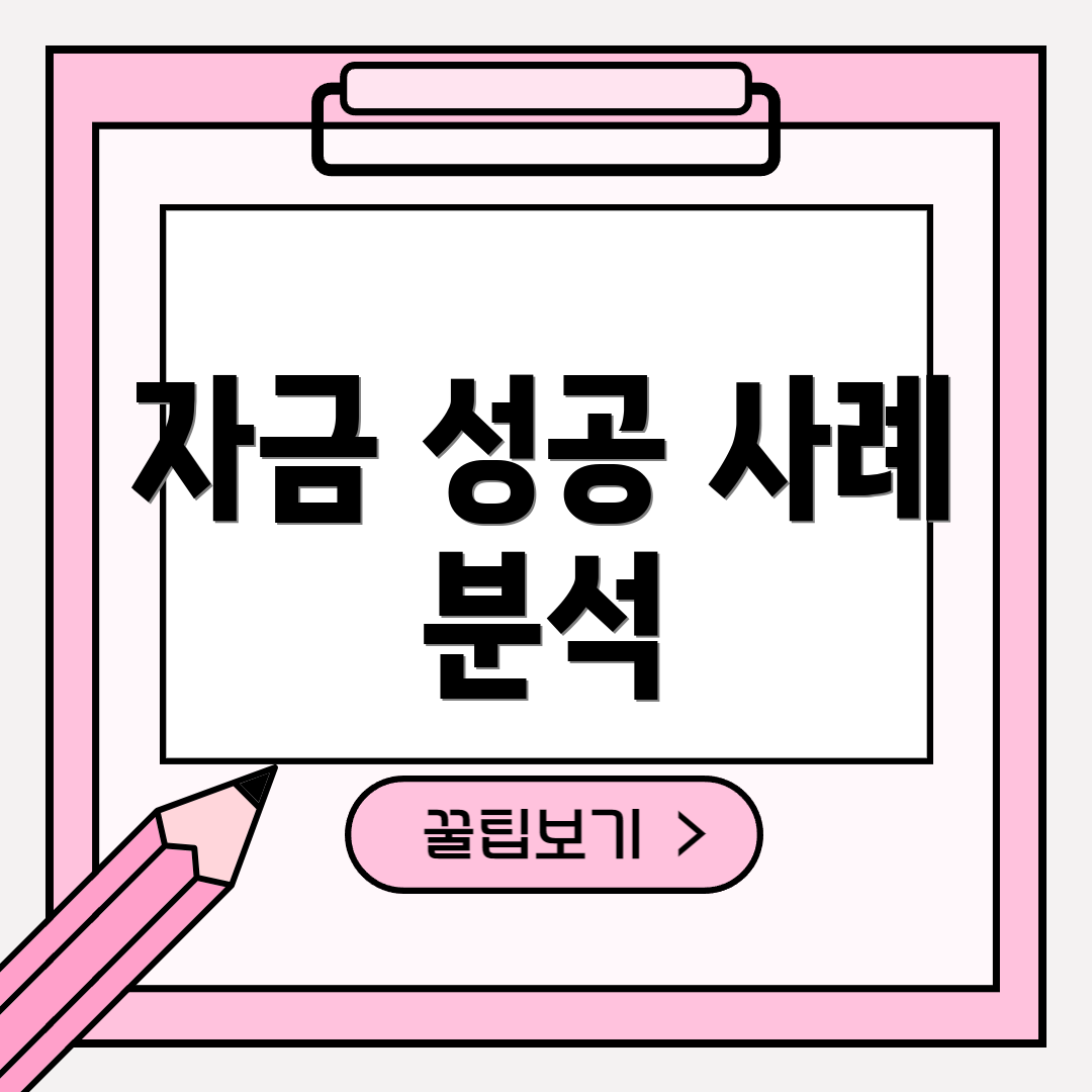 자금 성공 사례 분석
