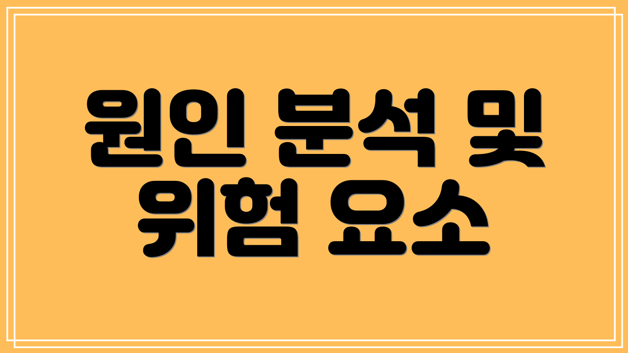 원인 분석 및 위험 요소