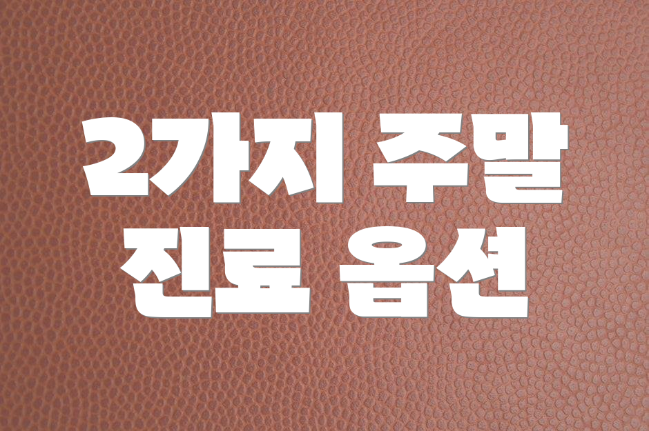 2가지 주말 진료 옵션