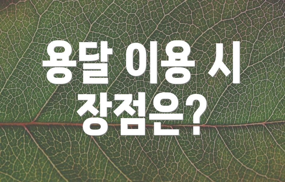 용달 이용 시 장점은?