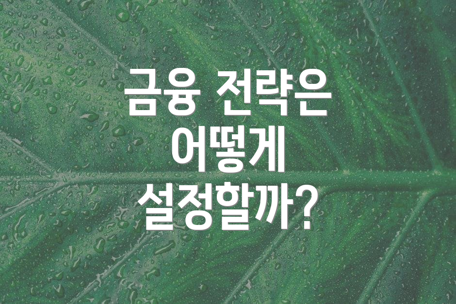 금융 전략은 어떻게 설정할까?