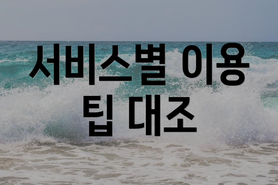 서비스별 이용 팁 대조