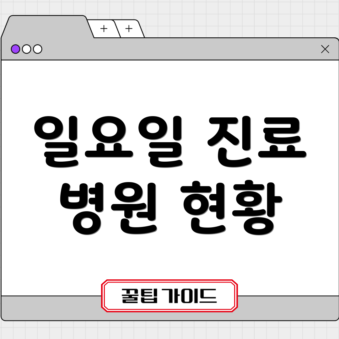 일요일 진료 병원 현황