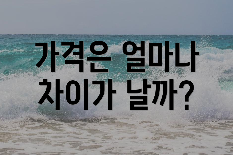 가격은 얼마나 차이가 날까?