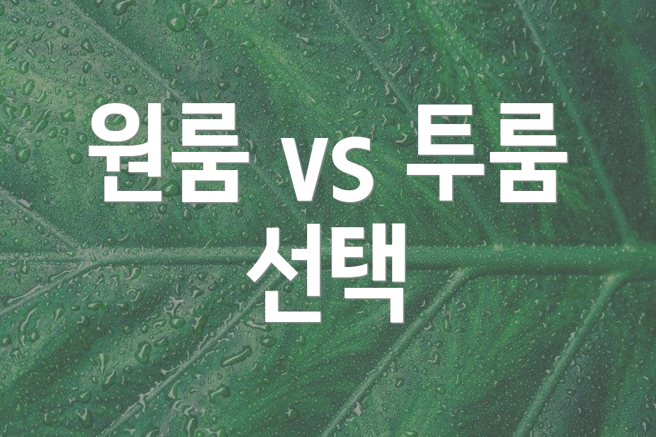 원룸 vs 투룸 선택
