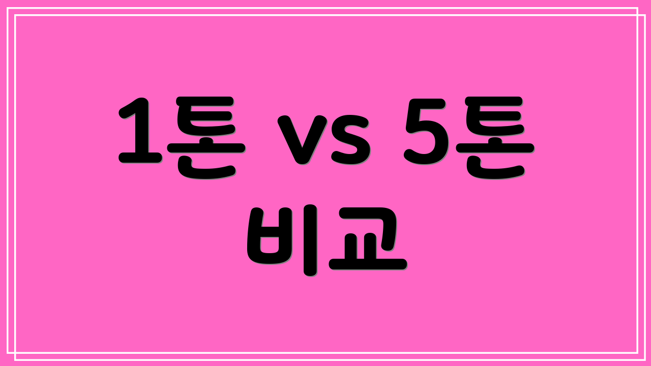 1톤 vs 5톤 비교