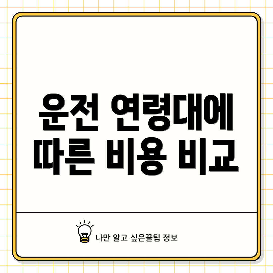 운전 연령대에 따른 비용 비교