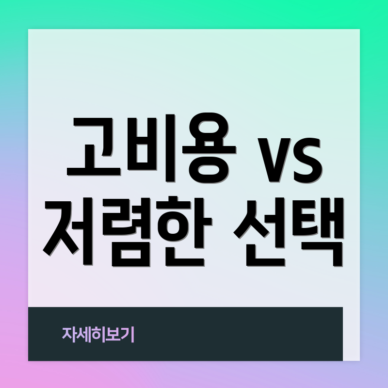 고비용 vs 저렴한 선택