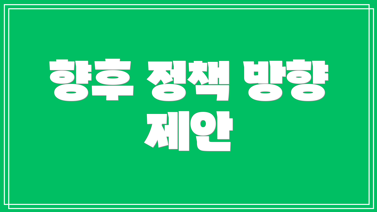 향후 정책 방향 제안