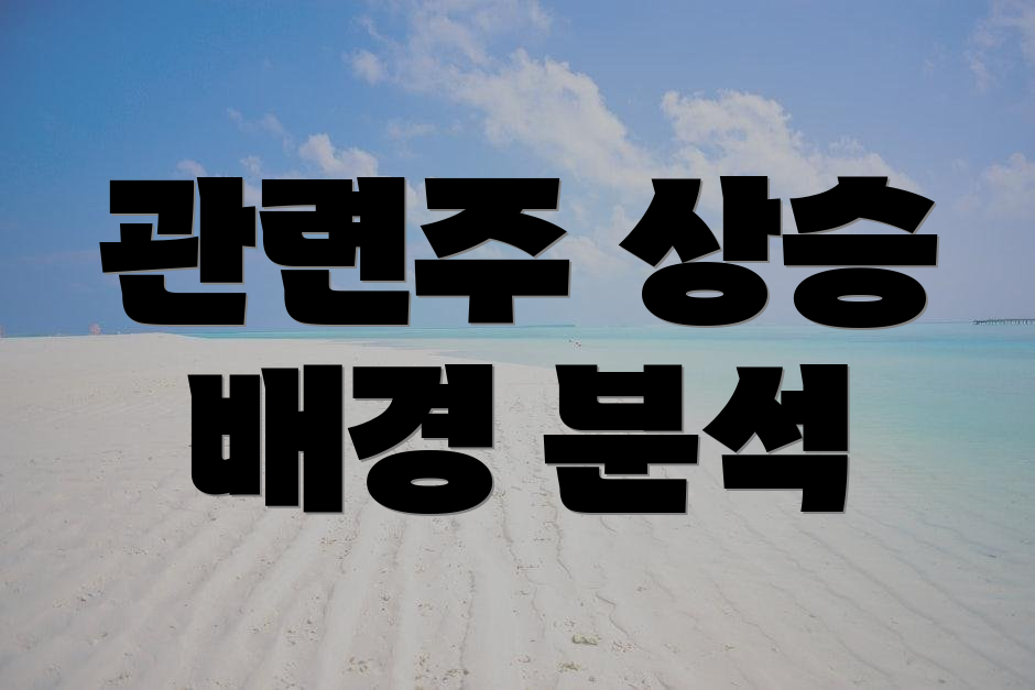 관련주 상승 배경 분석