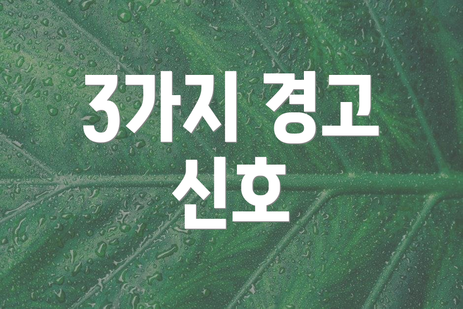 3가지 경고 신호