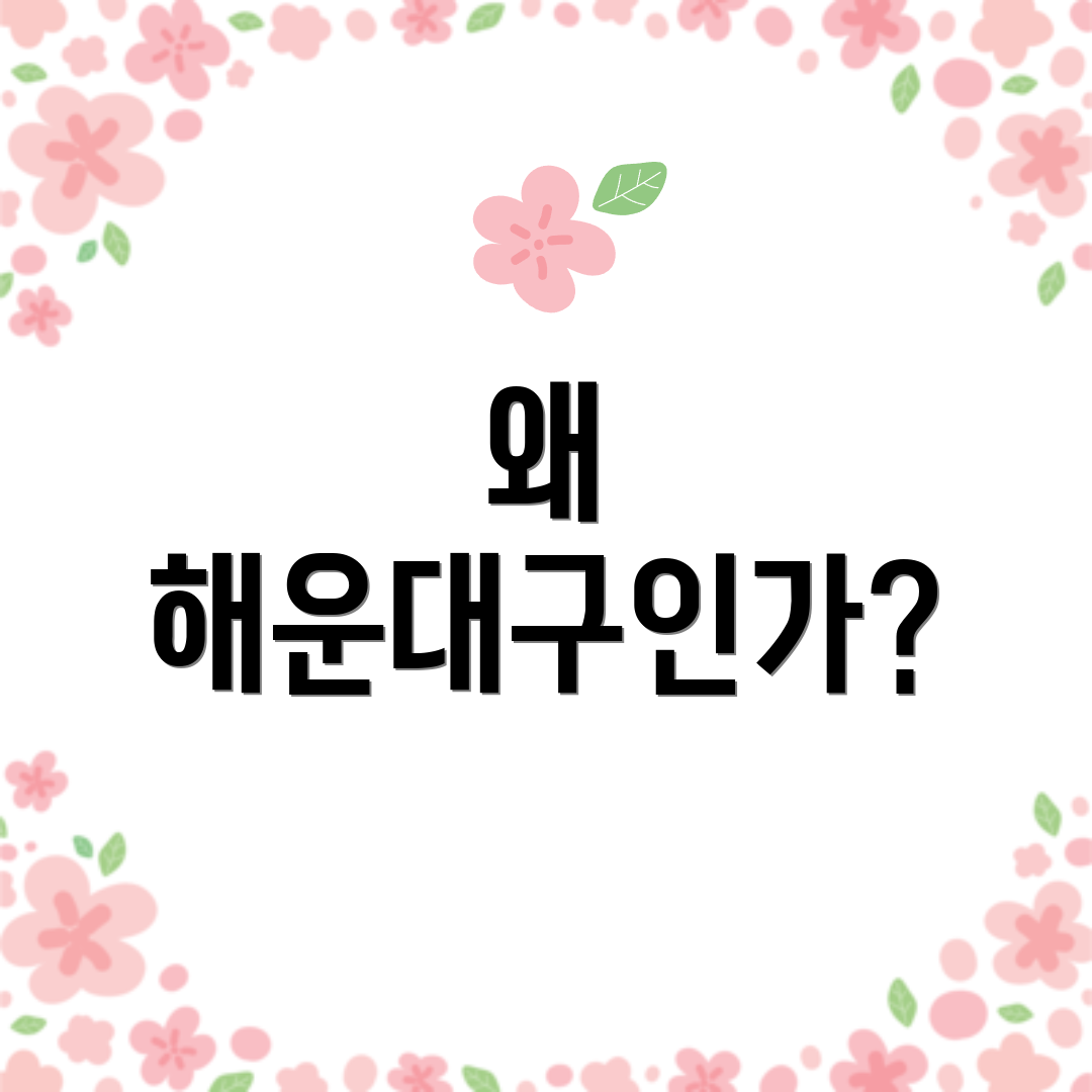 왜 해운대구인가?