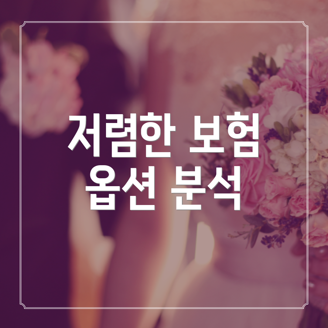 저렴한 보험 옵션 분석