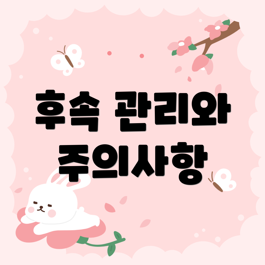 후속 관리와 주의사항
