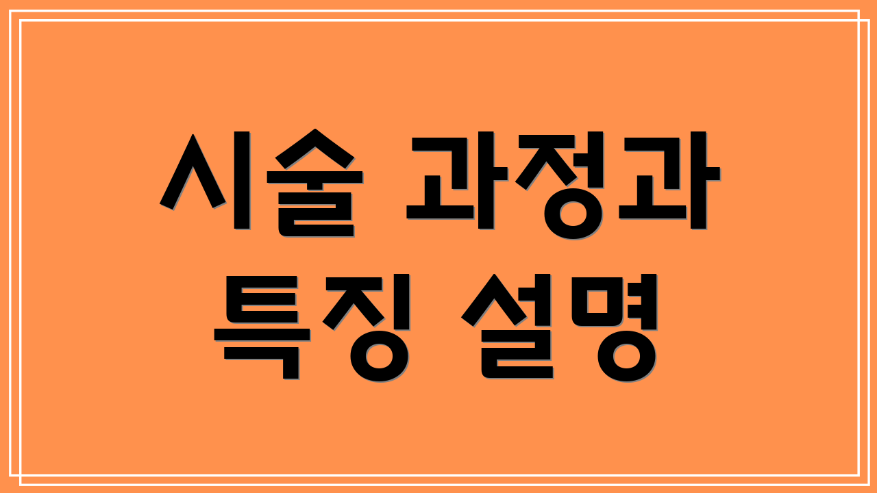 시술 과정과 특징 설명