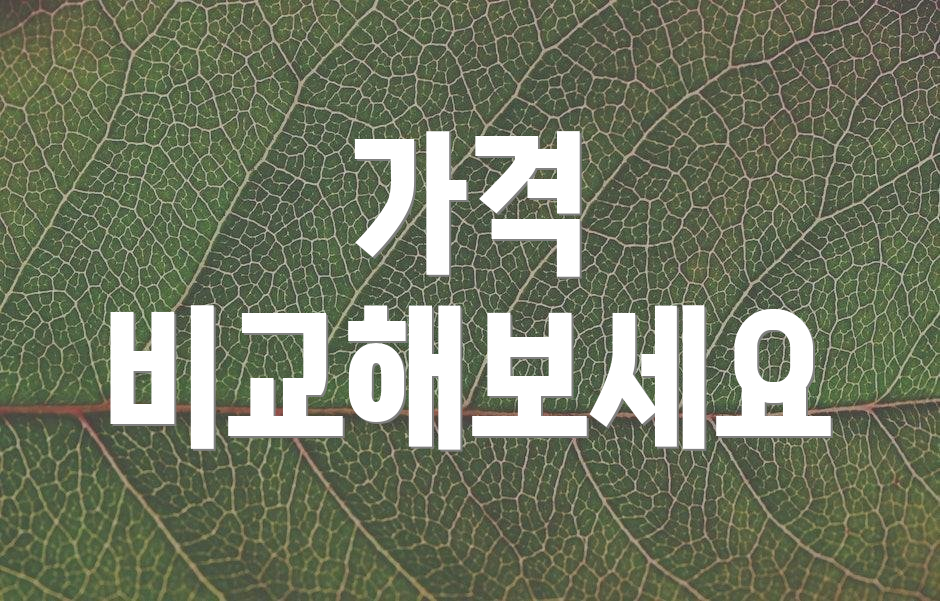 가격 비교해보세요