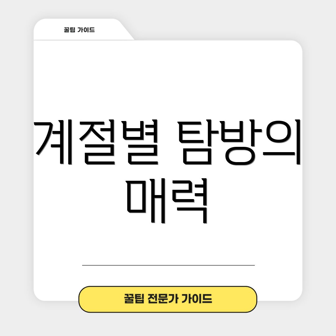 계절별 탐방의 매력