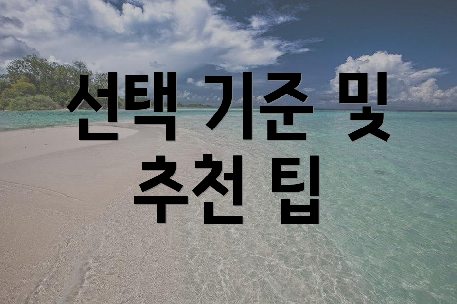 선택 기준 및 추천 팁