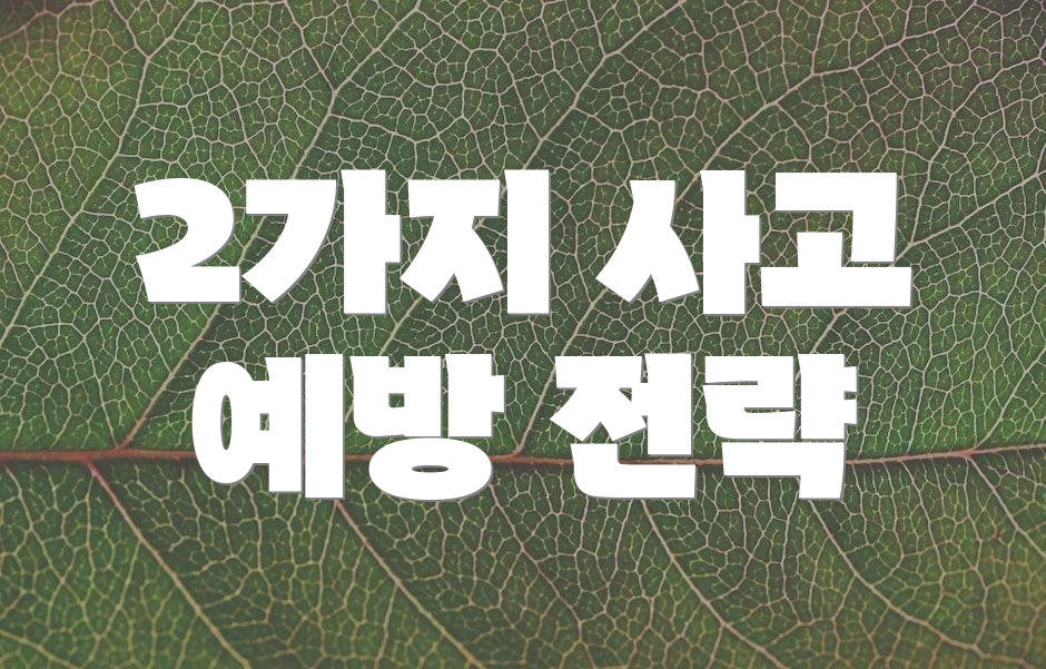 2가지 사고 예방 전략