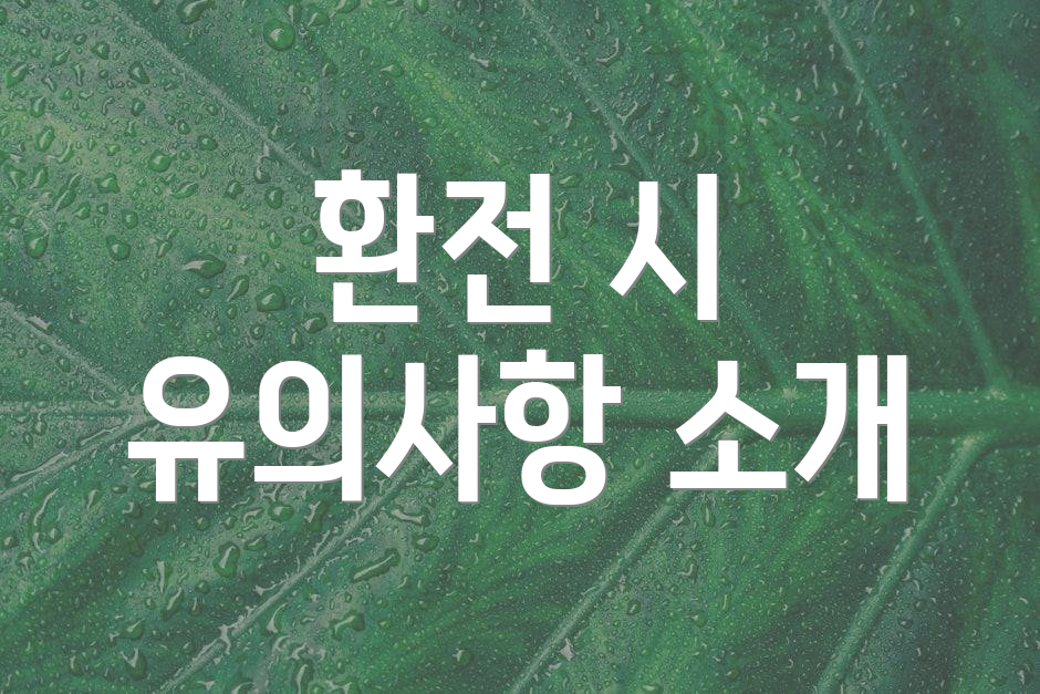 환전 시 유의사항 소개