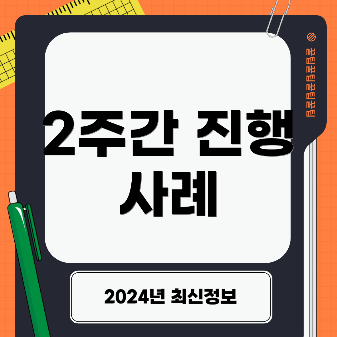2주간 진행 사례