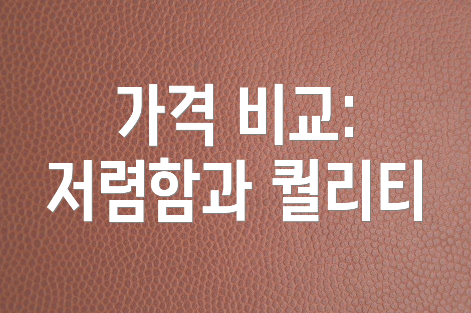 가격 비교: 저렴함과 퀄리티