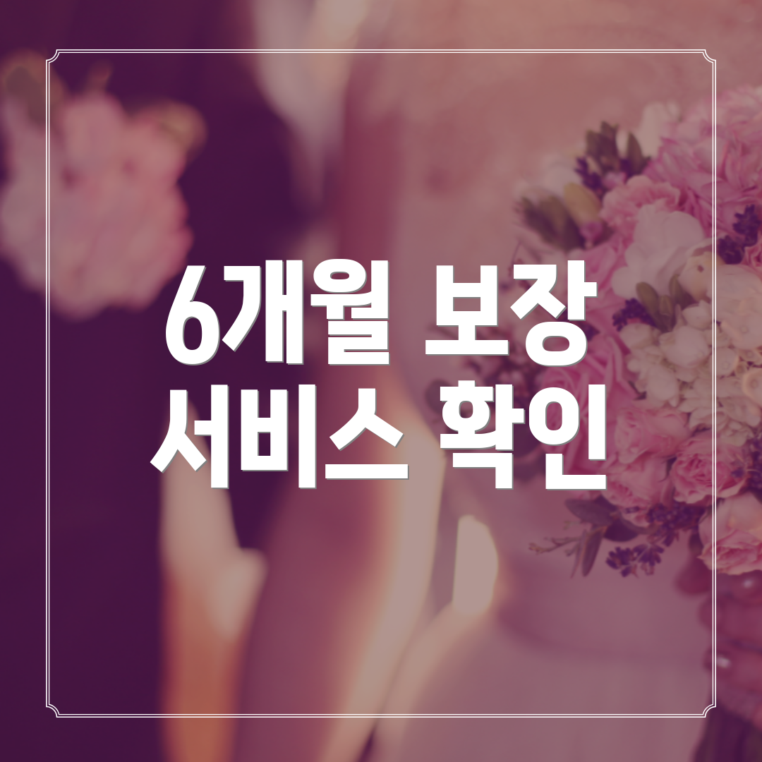 6개월 보장 서비스 확인