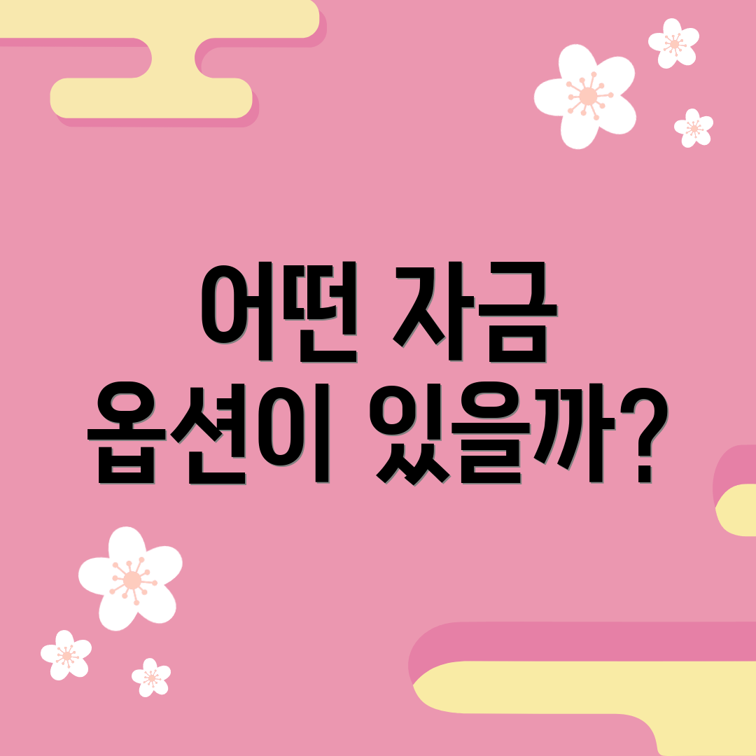 어떤 자금 옵션이 있을까?