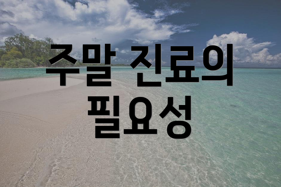 주말 진료의 필요성