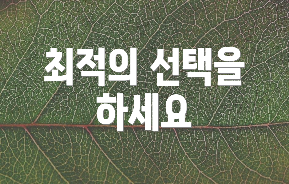 최적의 선택을 하세요