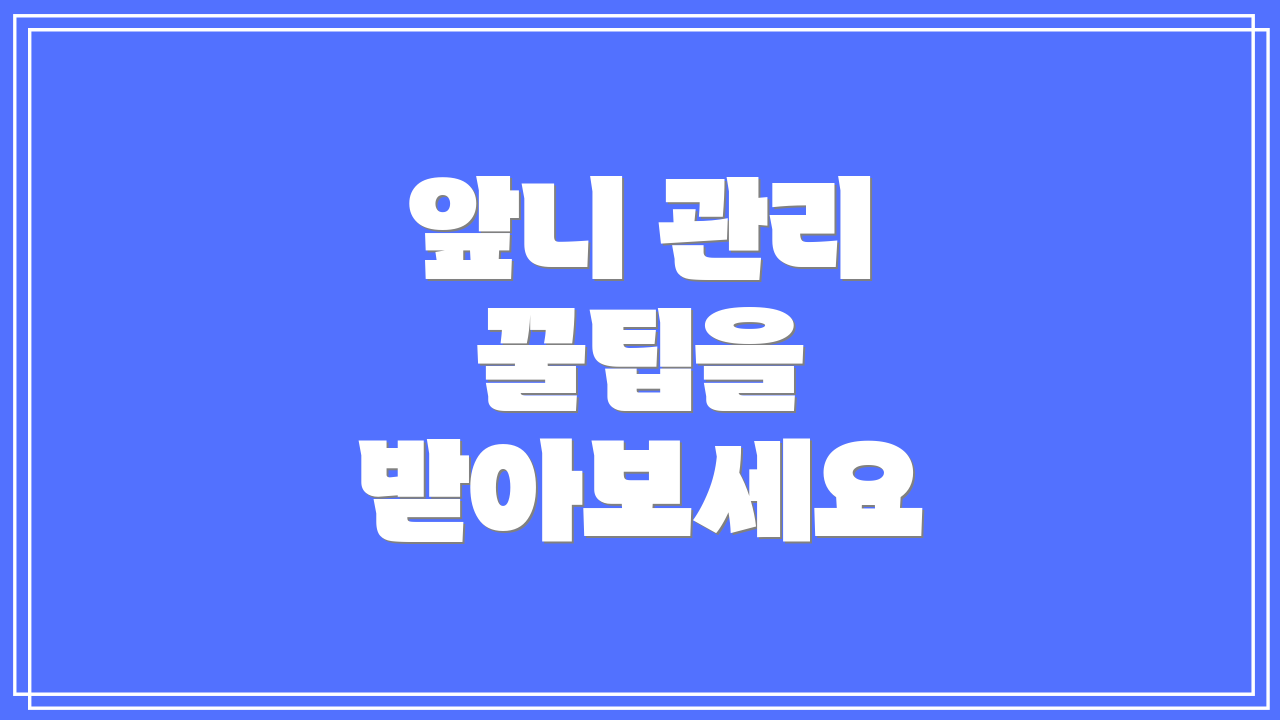 앞니 관리 꿀팁을 받아보세요