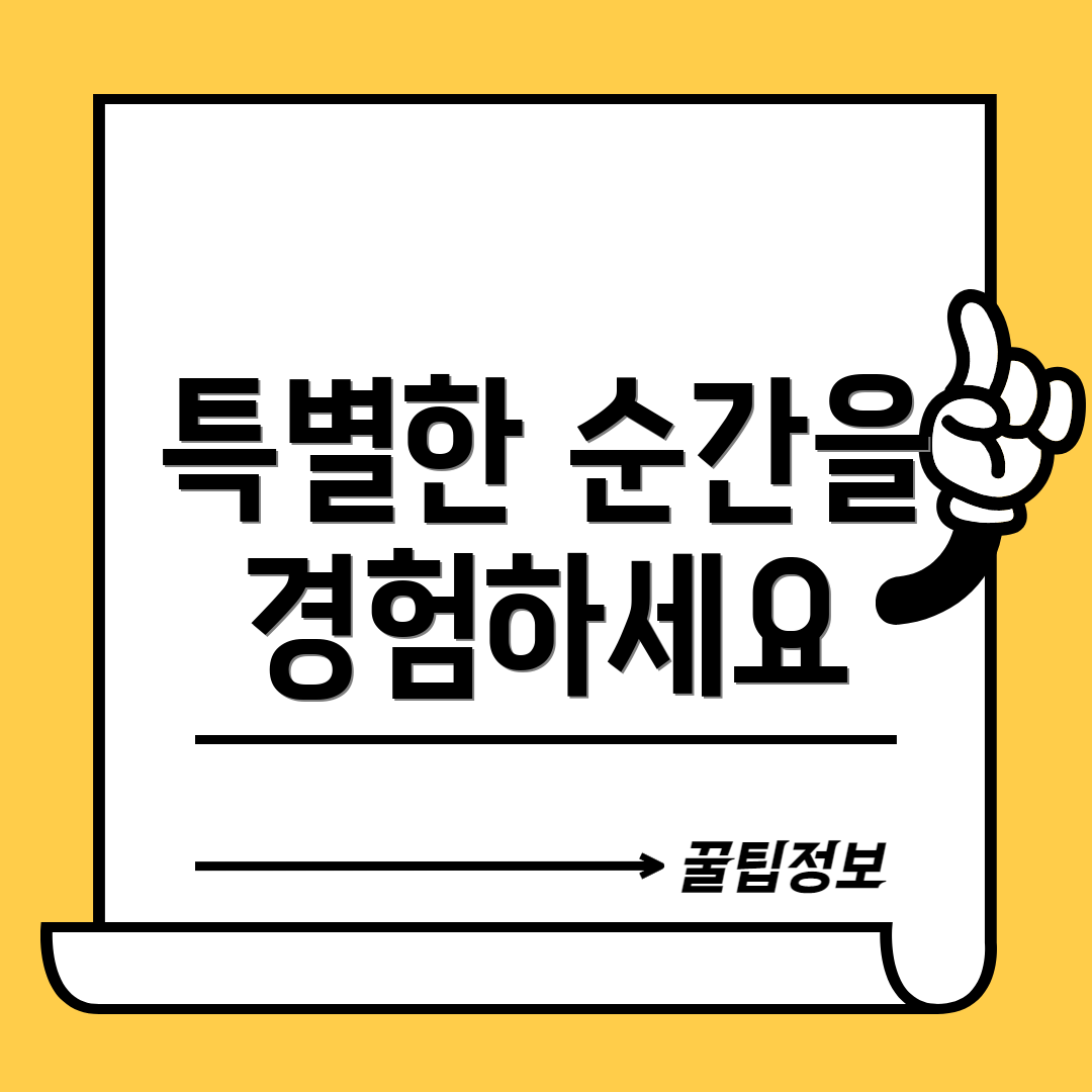 특별한 순간을 경험하세요
