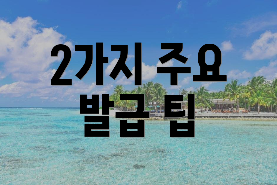 2가지 주요 발급 팁