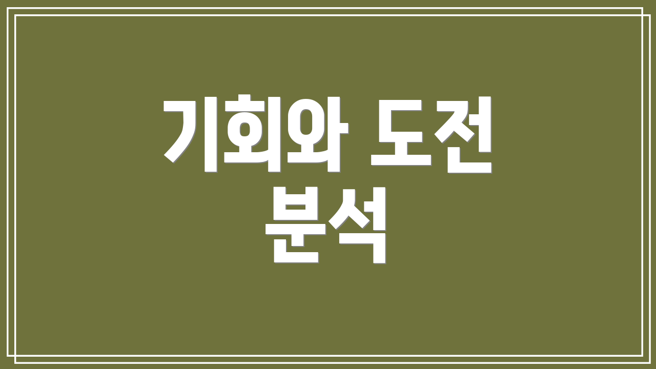 기회와 도전 분석