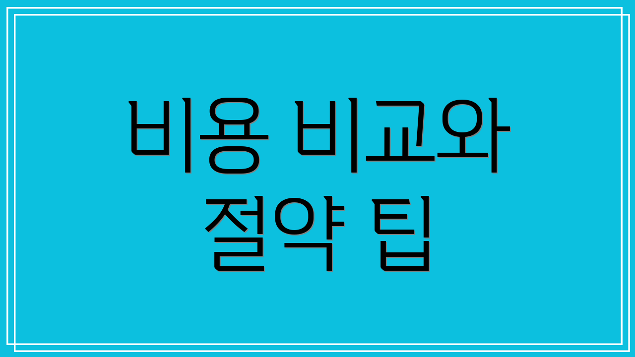 비용 비교와 절약 팁
