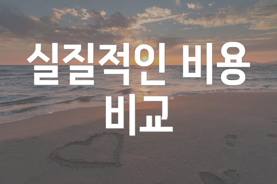 실질적인 비용 비교