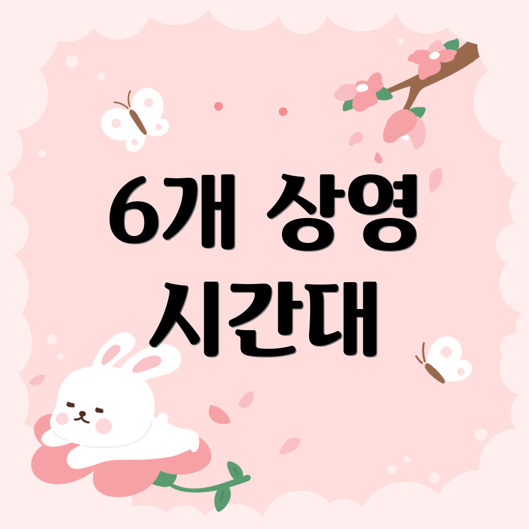 6개 상영 시간대