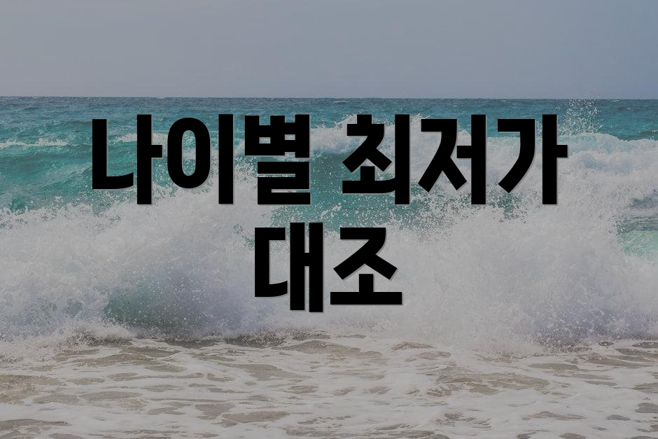 나이별 최저가 대조